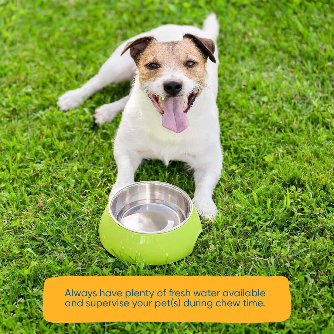 123 Treats | Hooves for Dogs