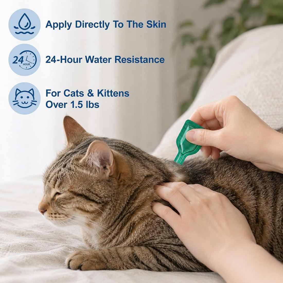 Miguelina 12 Pcs Flea & Tick Topical Spot-On Drops for Cat