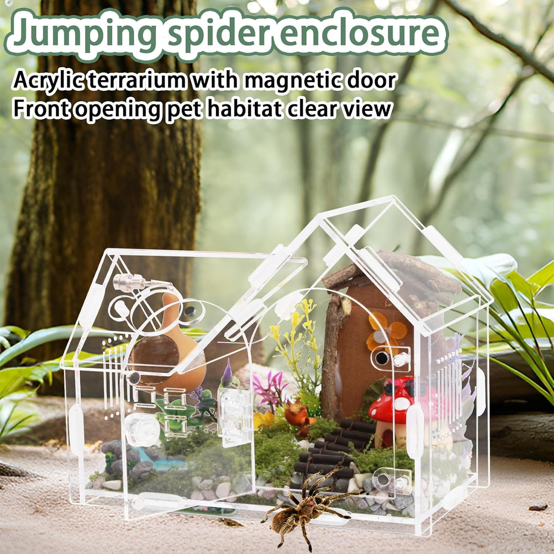 Acrylic Jumping Spider Enclosure House-Shaped Terrarium