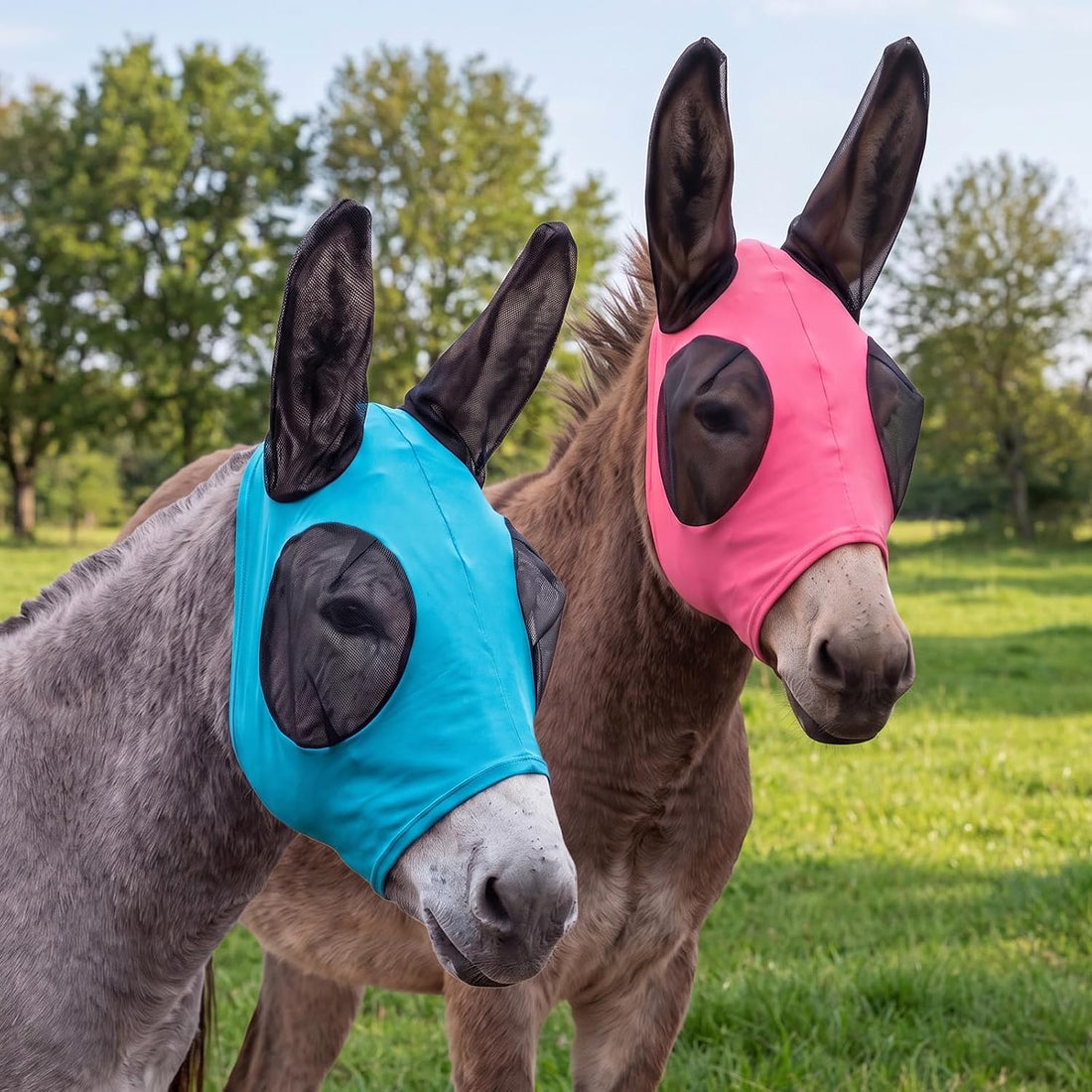 2 Pcs Mini Donkey Fly Mask with Ears Protection and Big Mesh Eye