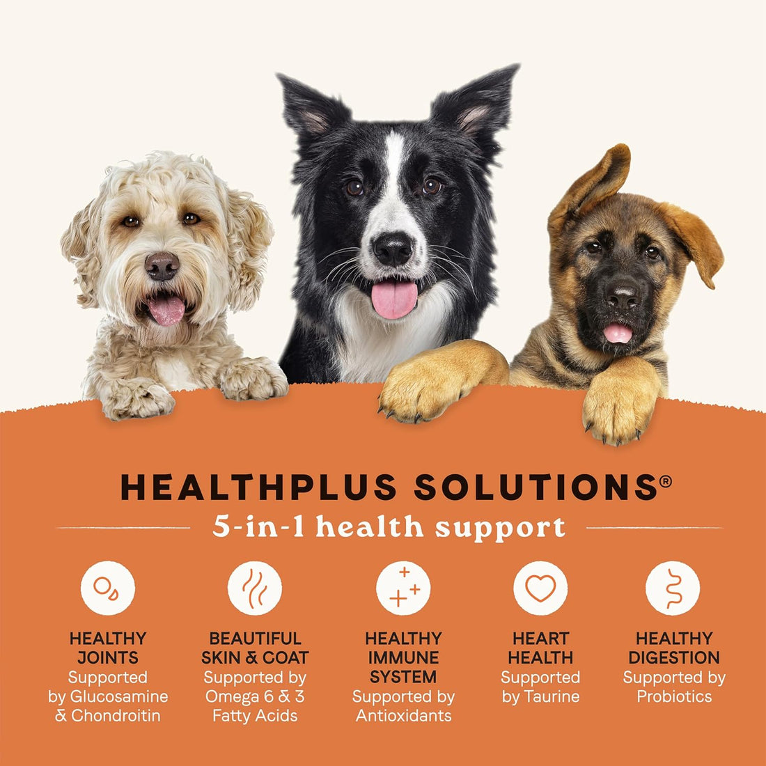 Canidae All Life Stages Multi-Protein, Chicken, Turkey, Lamb & Fish