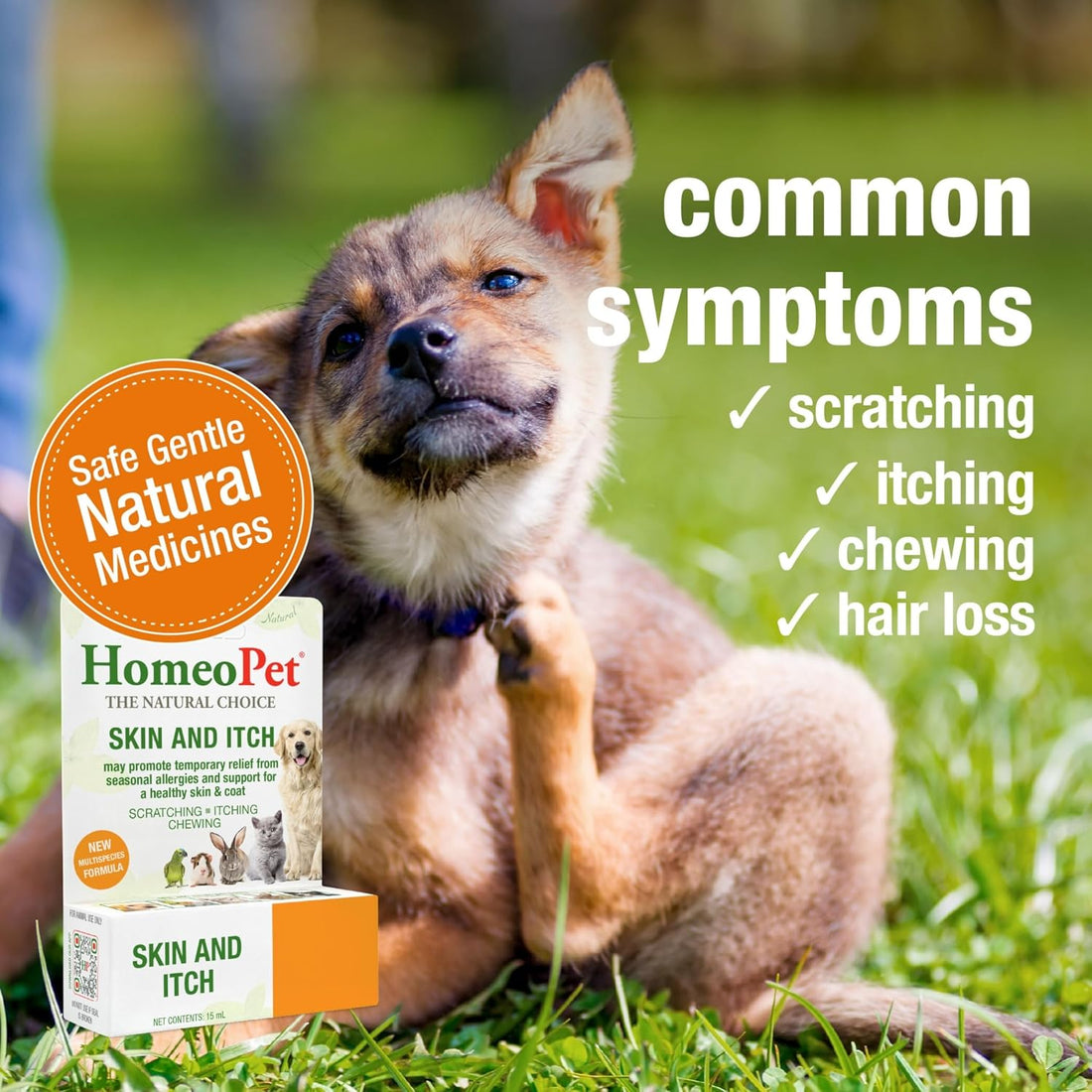 HomeoPet Skin and Itch, Safe and Natural Itch Relief for Dogs and Cats
