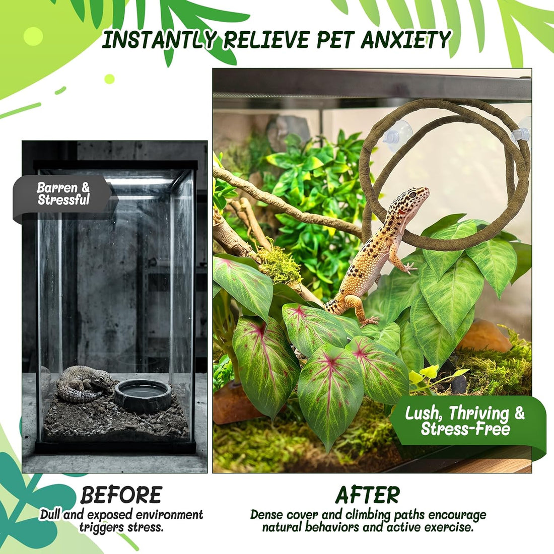 3PC Reptile Terrarium Habitat Decor Kit