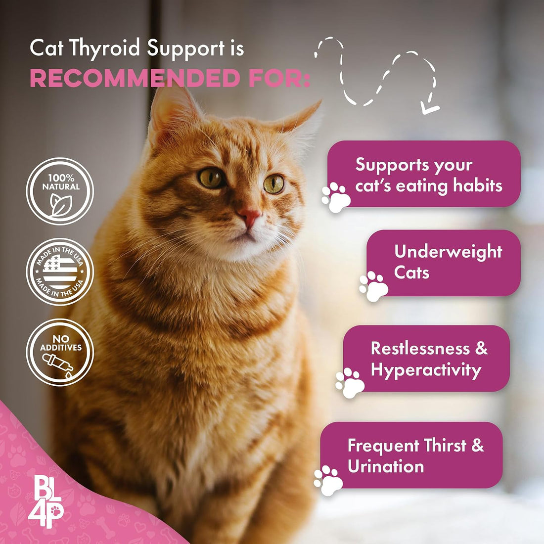 BestLife4Pets Cat Weight Gainer & Thyroid Support - 400 Pills