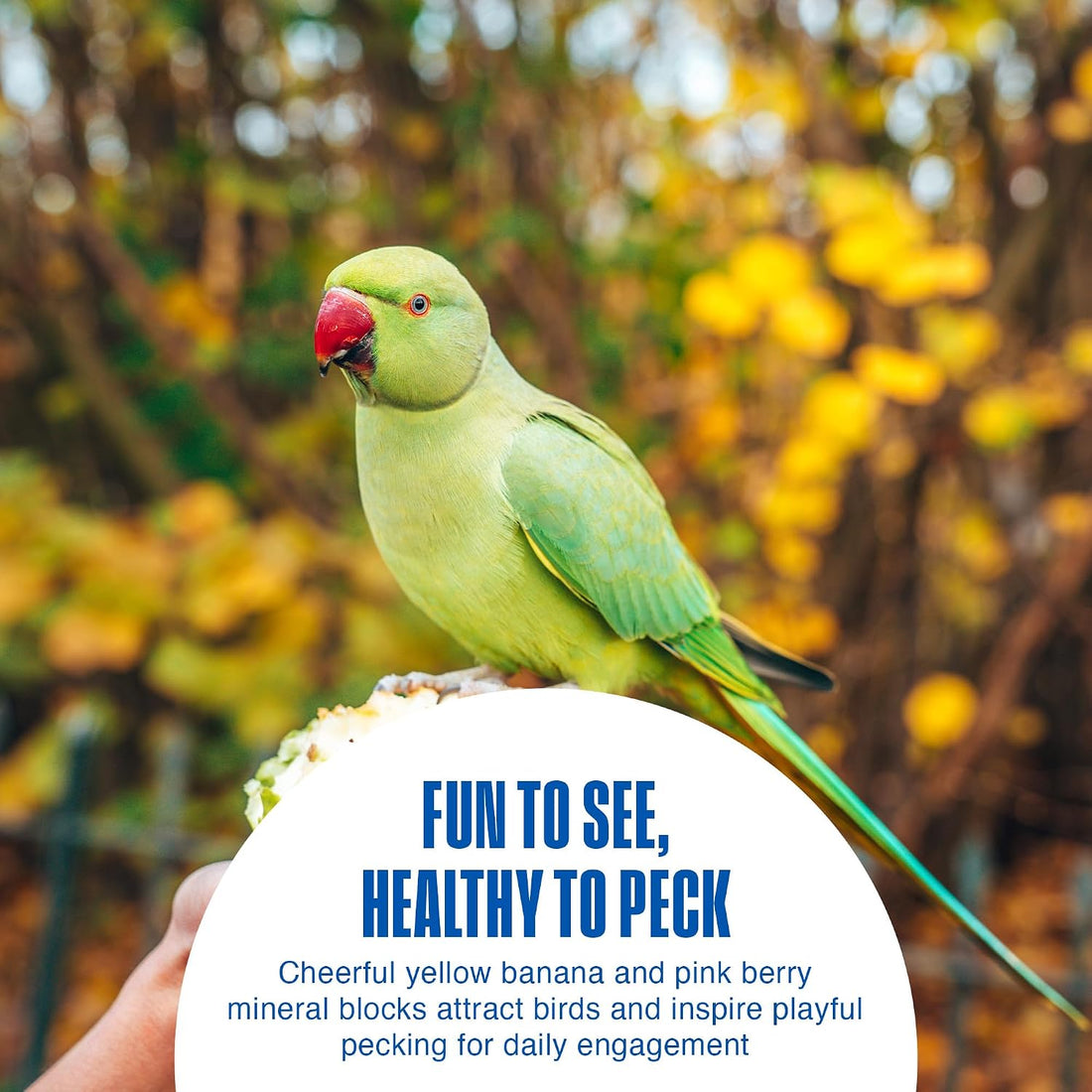 Penn-Plax Bird-Life 2-in-1 E-Cuttlebone & Mineral Block