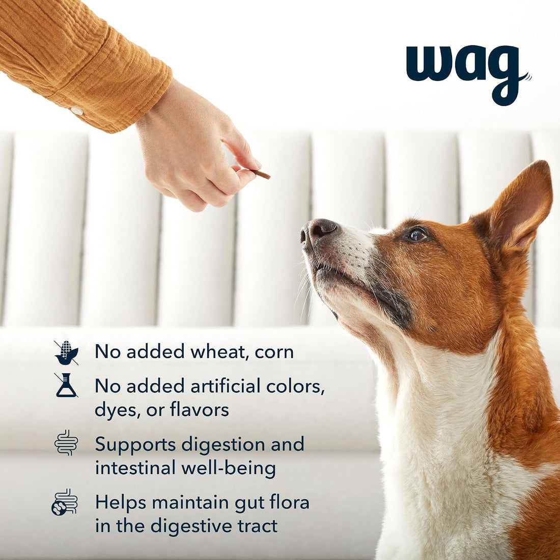 Brand - Wag Probiotic Supplement Chews for Dogs