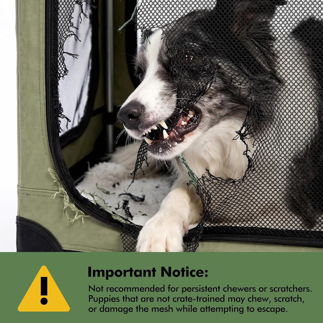 Veraste 33 in Collapsible Dog Crate for Medium Large Dogs, 4 Door