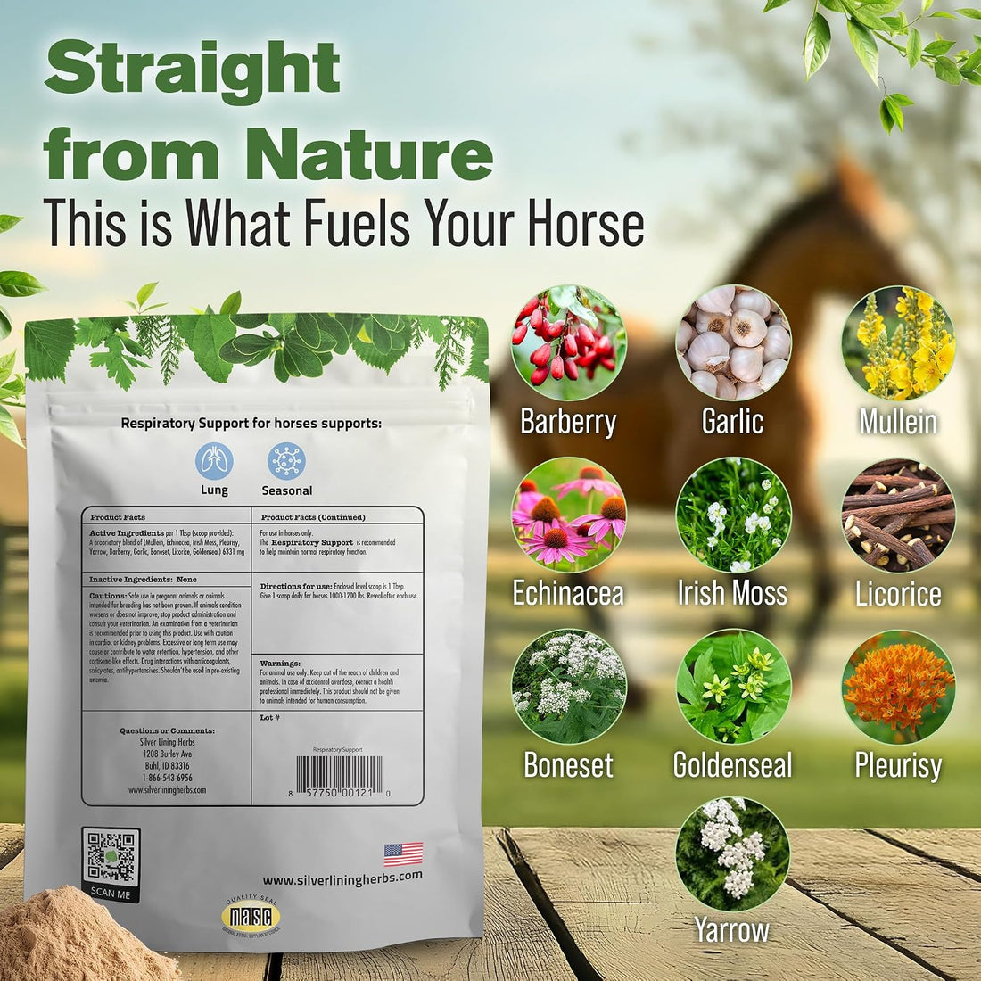 Silver Lining Herbs Respiratory Lung Support for Horses - 1 lb