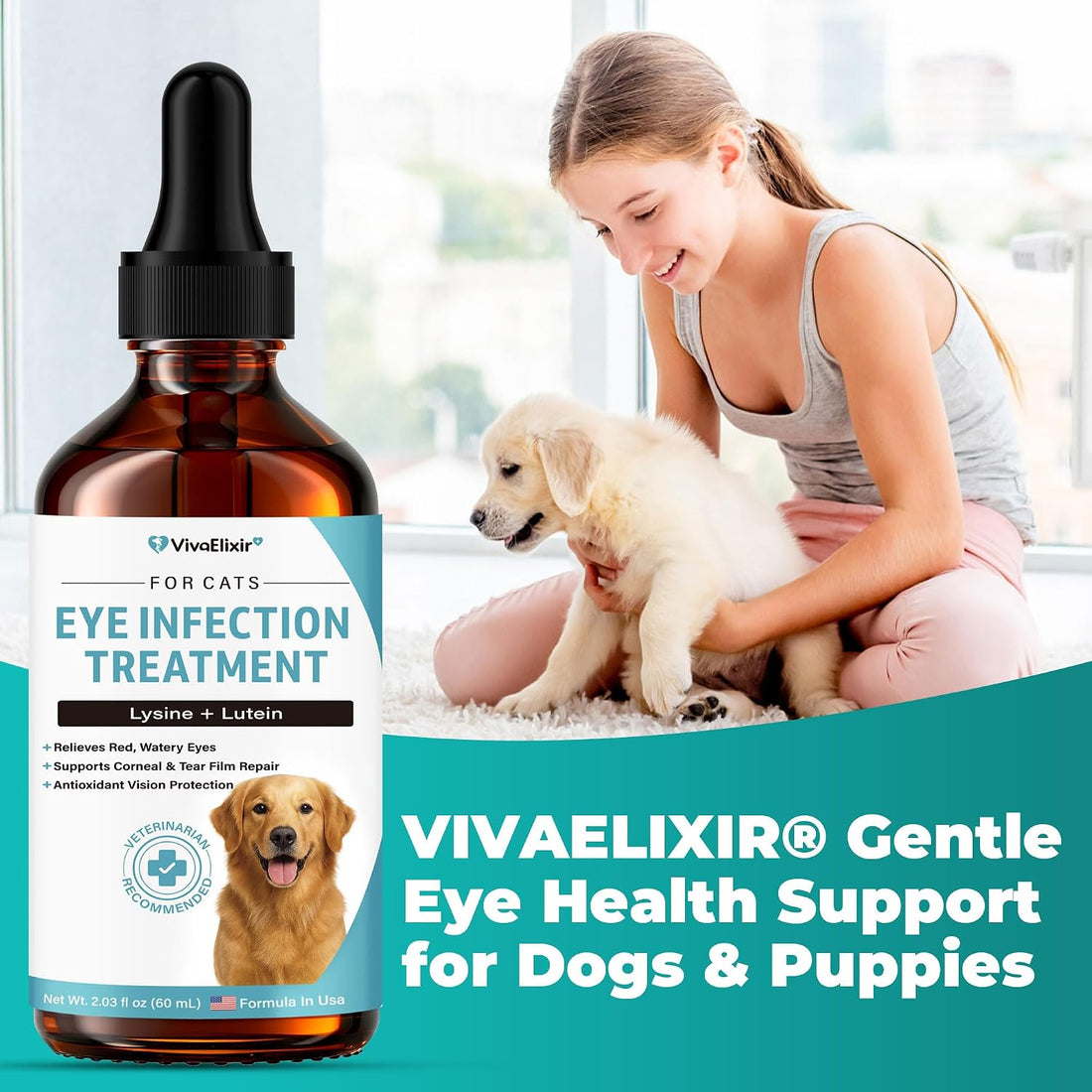 Dog Eye Infection & Eye Care Support Supplements