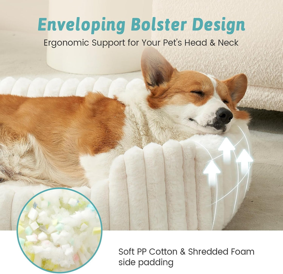 Orthopedic Dog Bed for Small Dogs & Cats