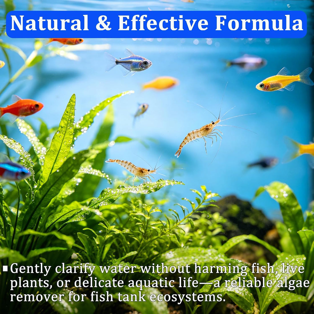 Fish Tank Water Purification Tablets - Clarify Water