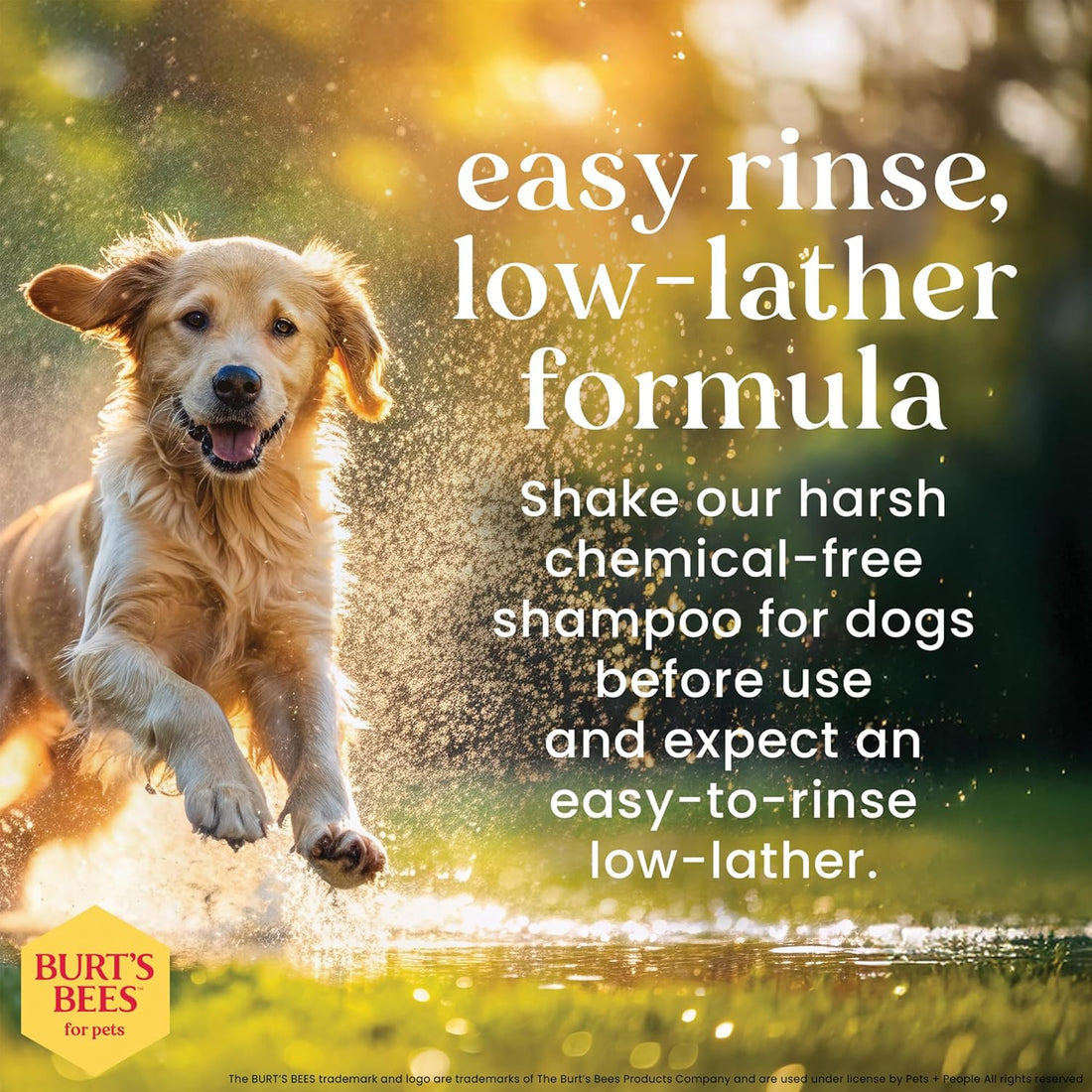 Burt's Bees for Pets Oatmeal Dog Shampoo with Honey