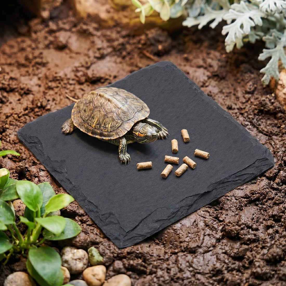 Basking Platform Turtle Reptile Basking Tortoise Slate Rock Plate 6