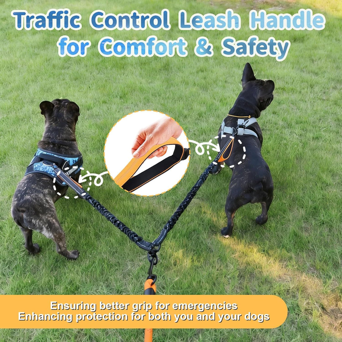 Double Dogs Leash - Removable Main Lead Rope with Splitter
