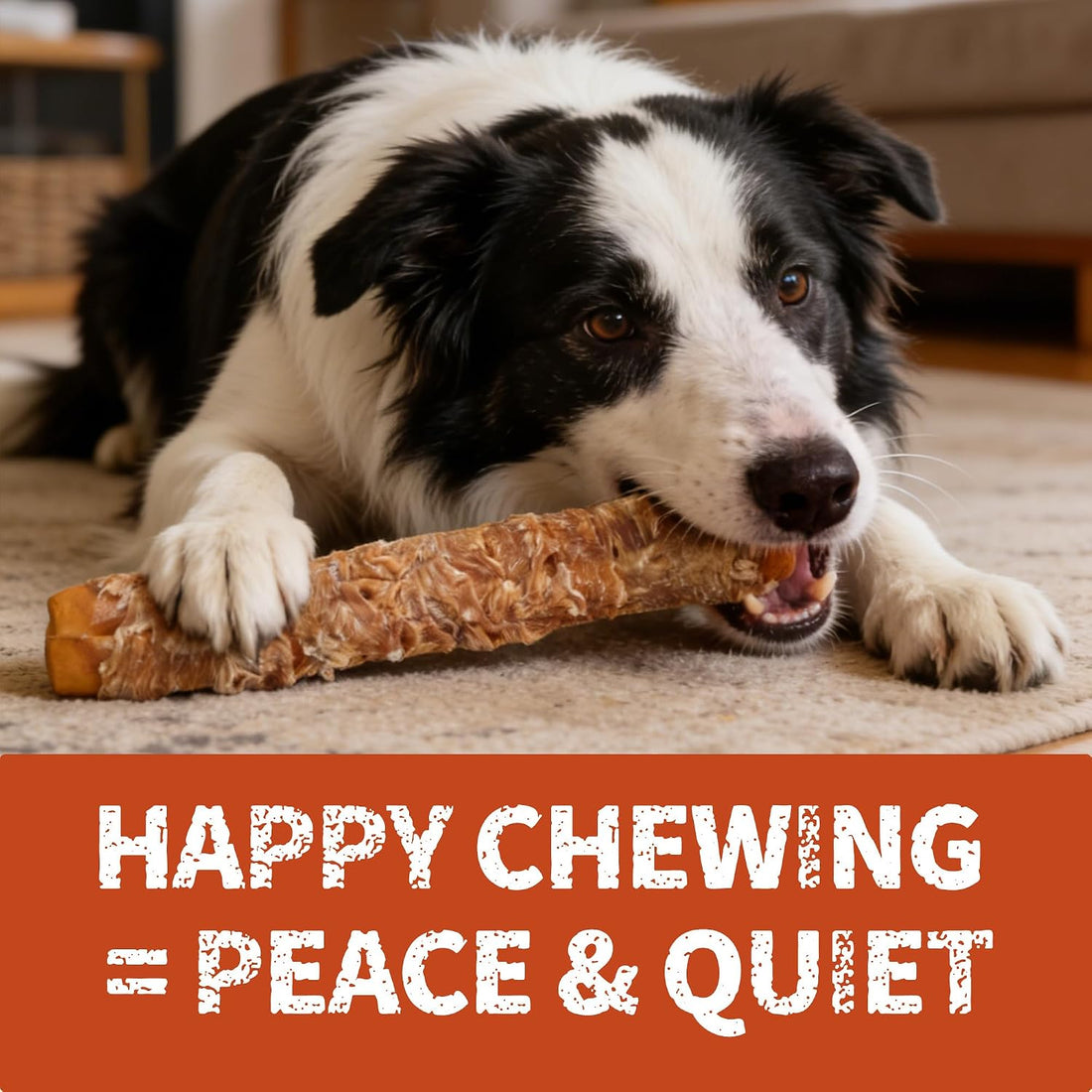 Just Try 2 Packs 13" Large Size Chicken Wrapped Rawhide Dog Chew
