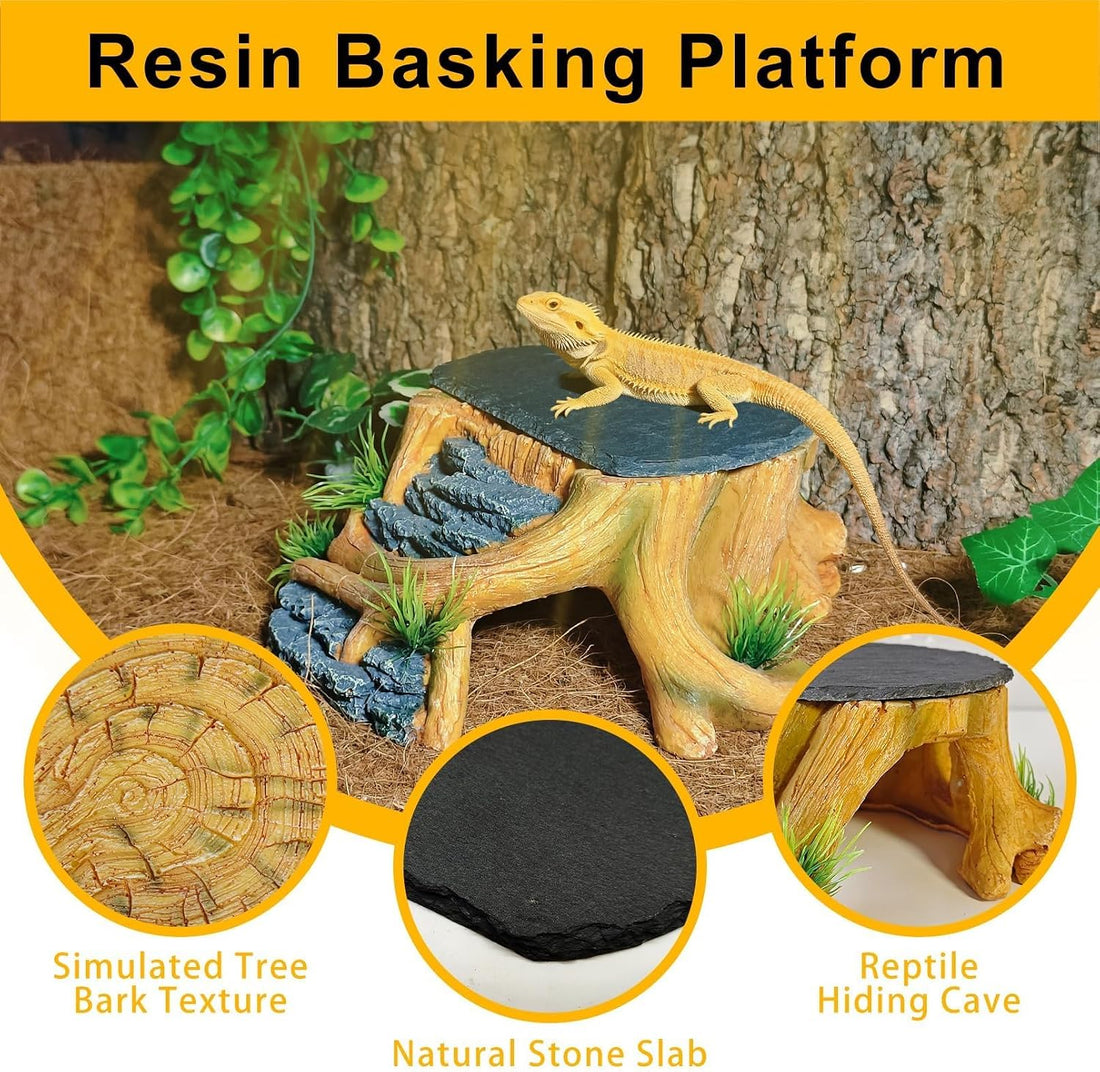 Bearded Dragon Basking Platform,Reptile Hide Cave with Basking Rock