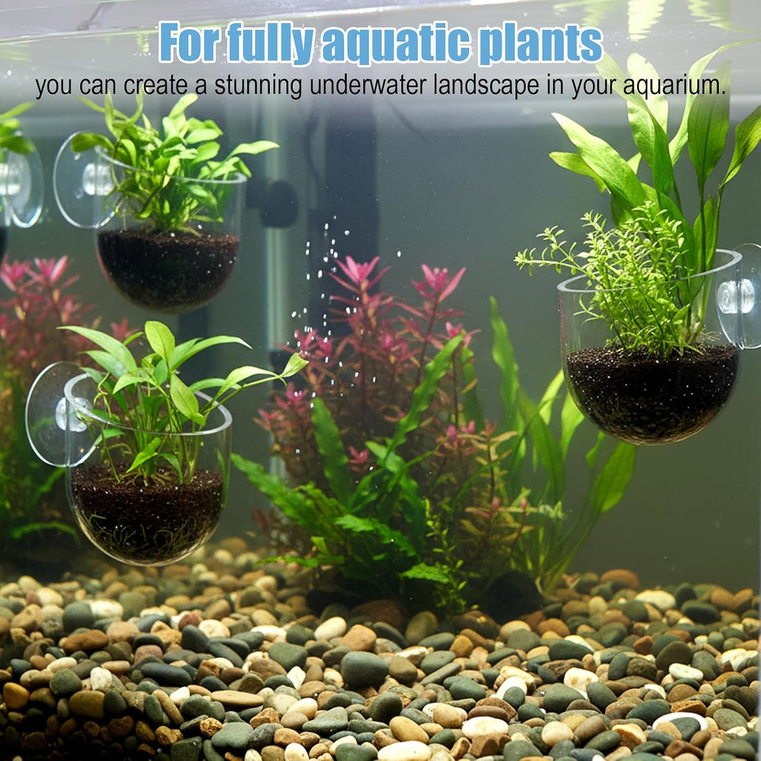3 Pack Clear Fish Tank Plant Holder Aquatic Plant Cups