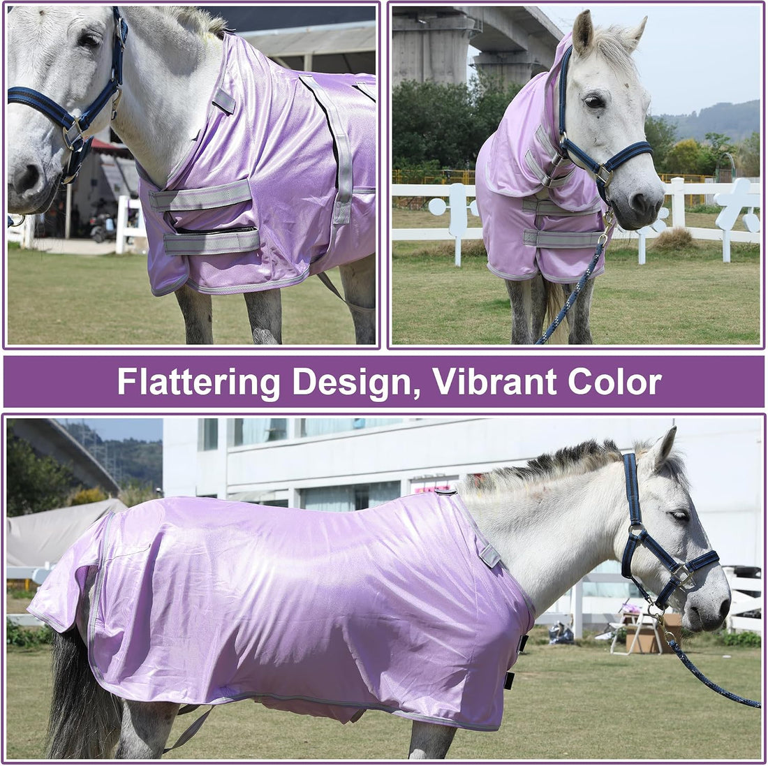 LEAFOREST Miniature Pony Horse Fly Sheet