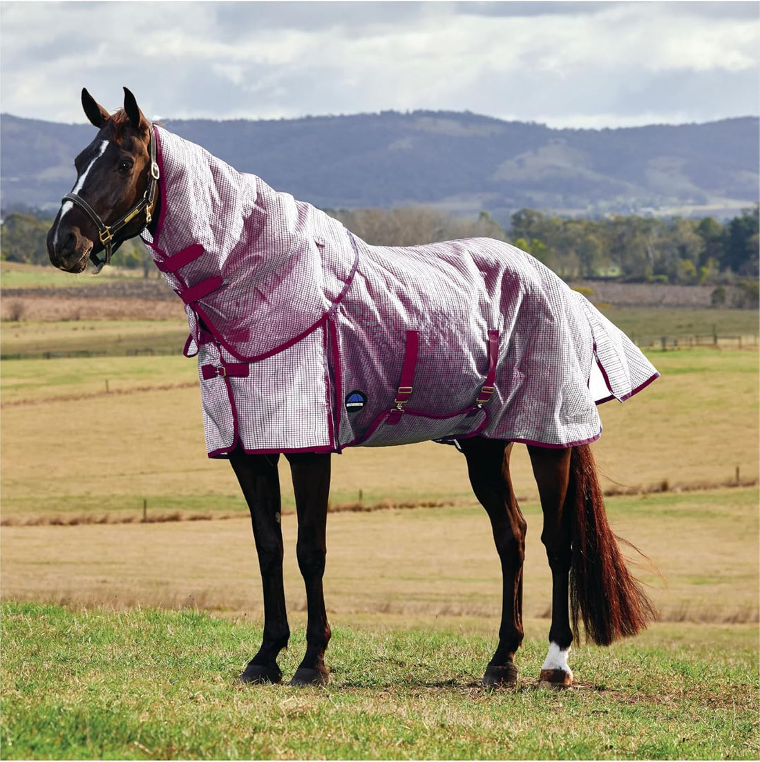 WeatherBeeta ComFiTec Ripshield Fly Sheet Detach-A-Neck, White/Cobalt