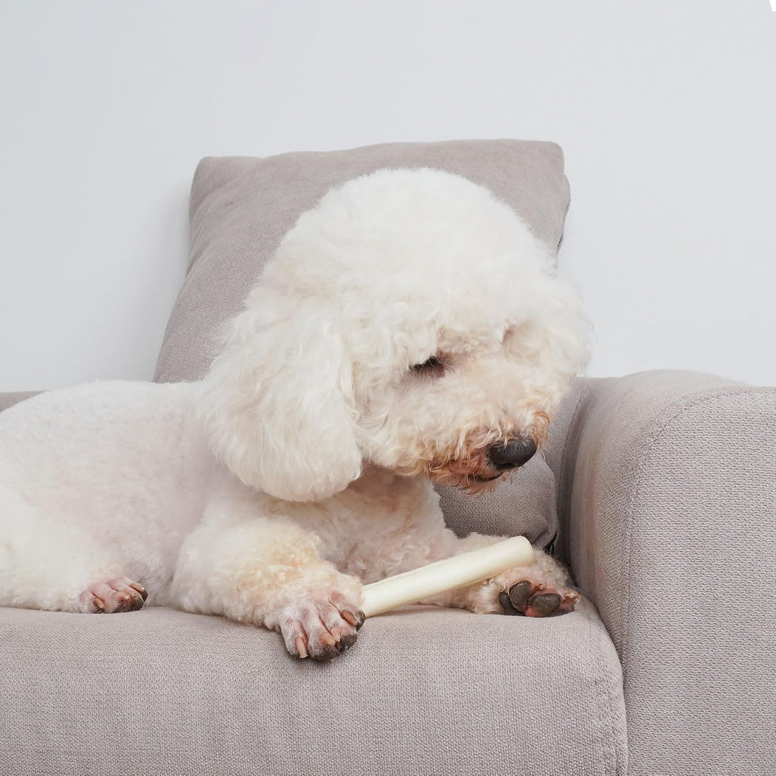 MON2SUN Dog Rawhide Rolls Twist Sticks Chew Treats Natural Flavor 6.5