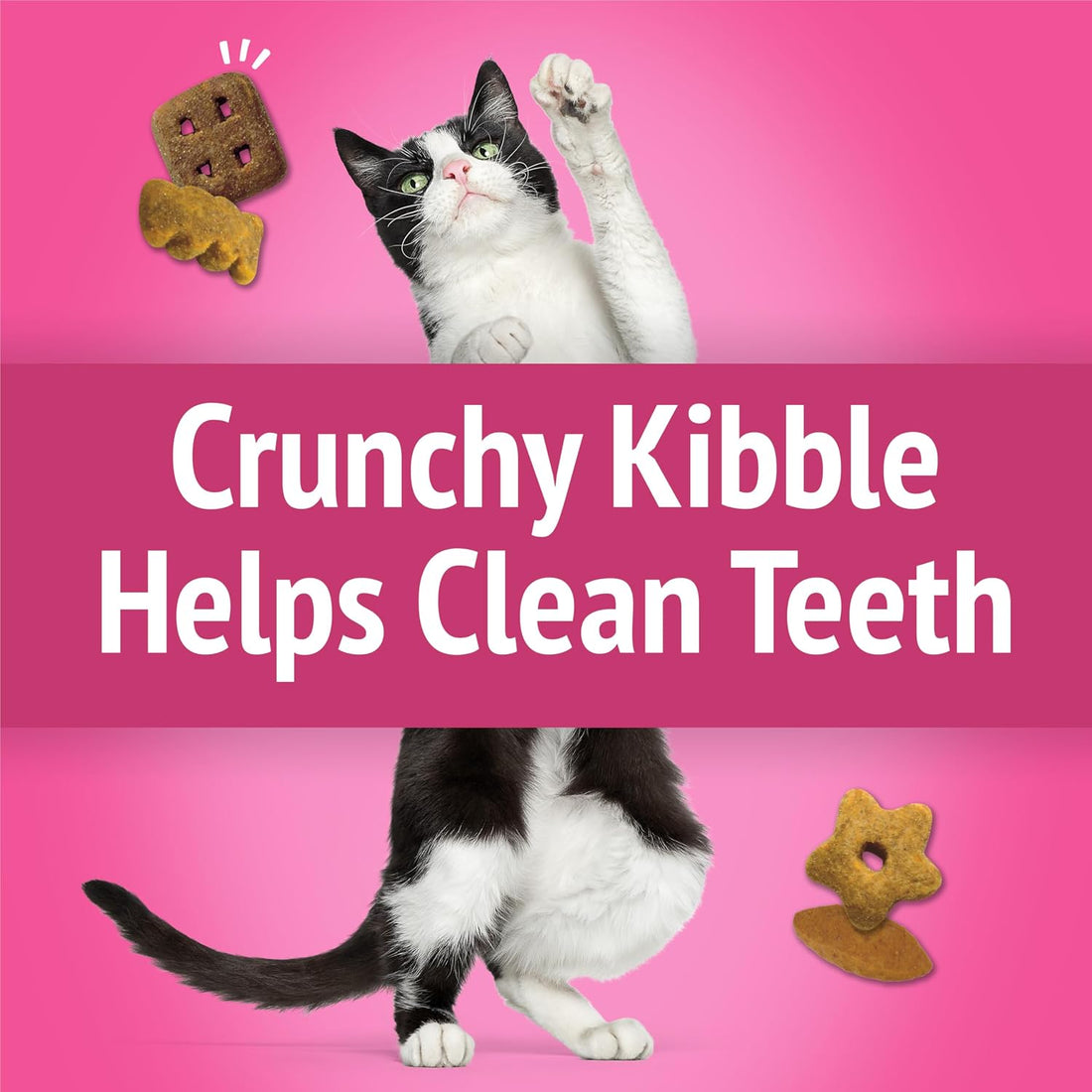 Purina Friskies Party Mix California Crunch with Chicken and Flavors