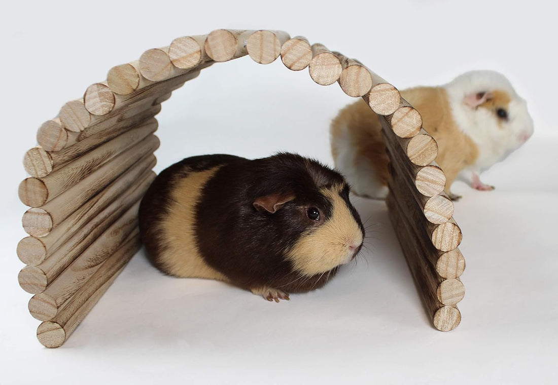 Flexible Wood Hideout - Extra Large - House, Tunnel, Ramp, Bridge
