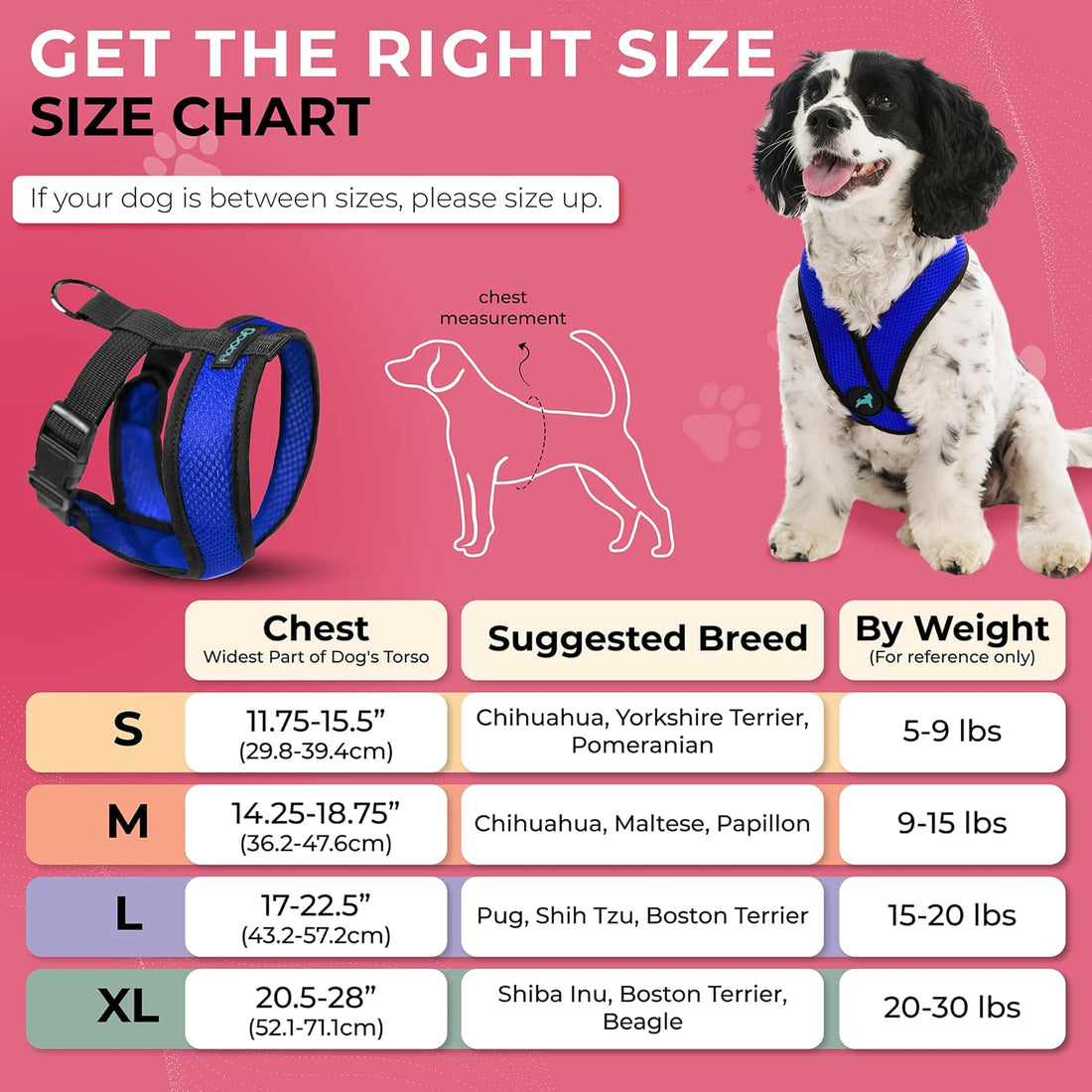 Gooby Comfort X Head-in Dog Harness, Choke-Free, Blue, Medium