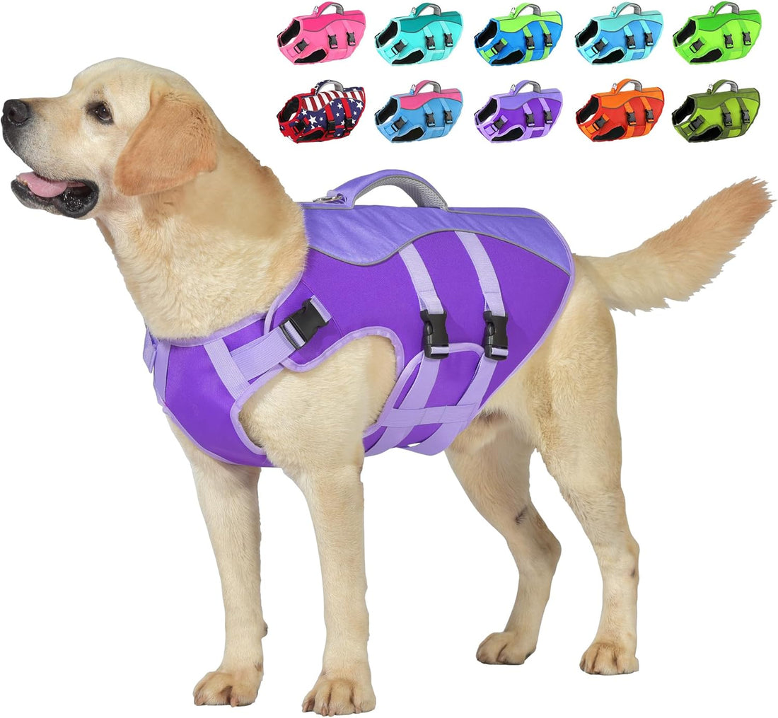 Petglad Dog Life Jacket with Handle Adjustable Swim Vest, Blue & Green