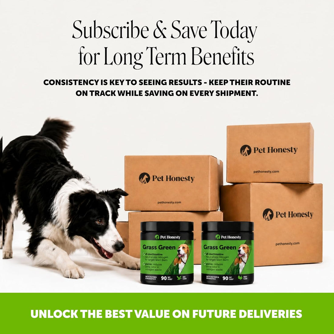 Pet Honesty Grass Green Dog Urine Neutralizer for Lawn, Duck, 90ct