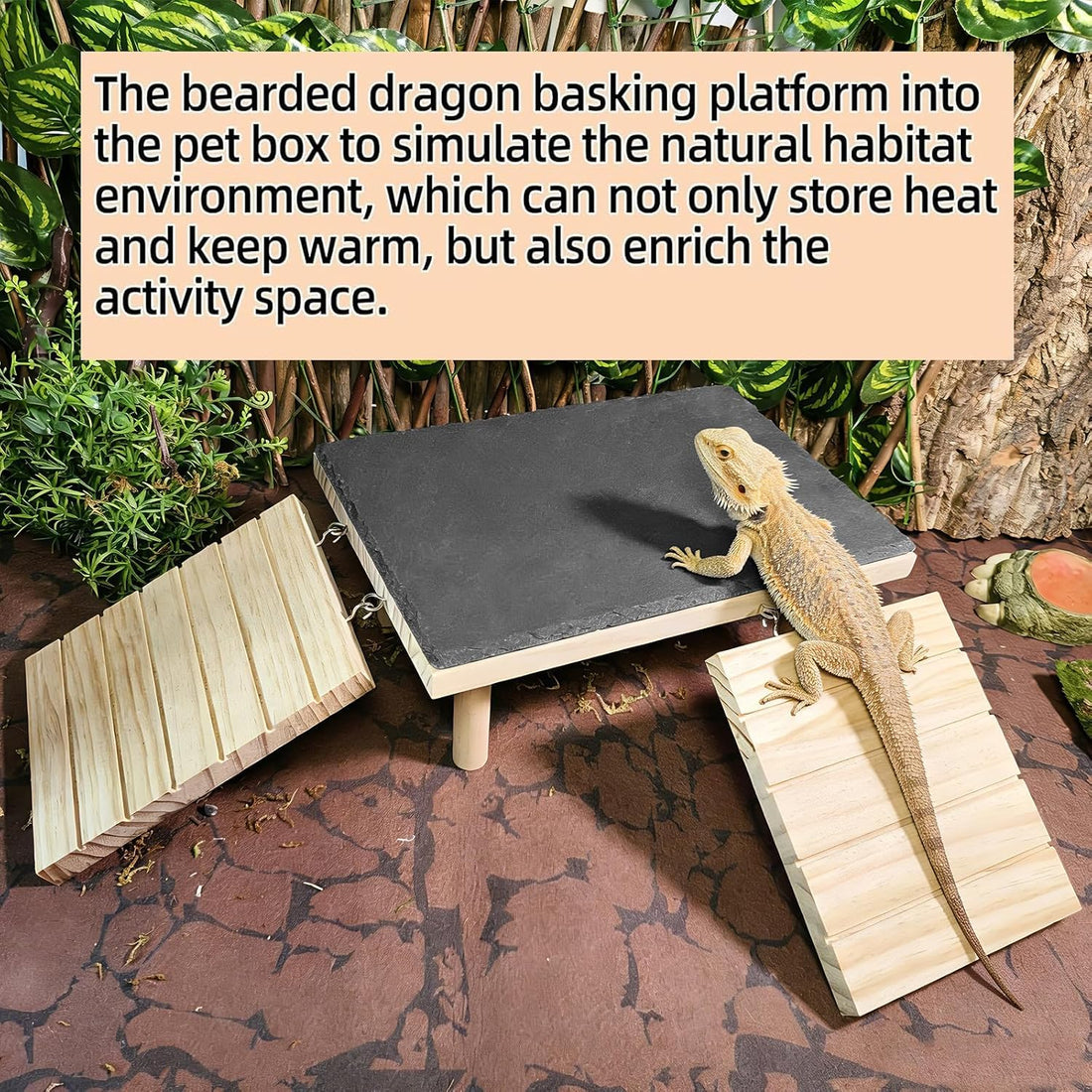 Reptile Bearded Dragon Basking Platform Rock with Climbing Ramp,L