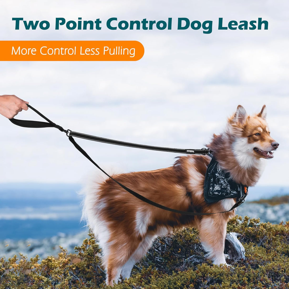 PetBonus Two Point Control Dog Leash, Works with No Pull Harnesses