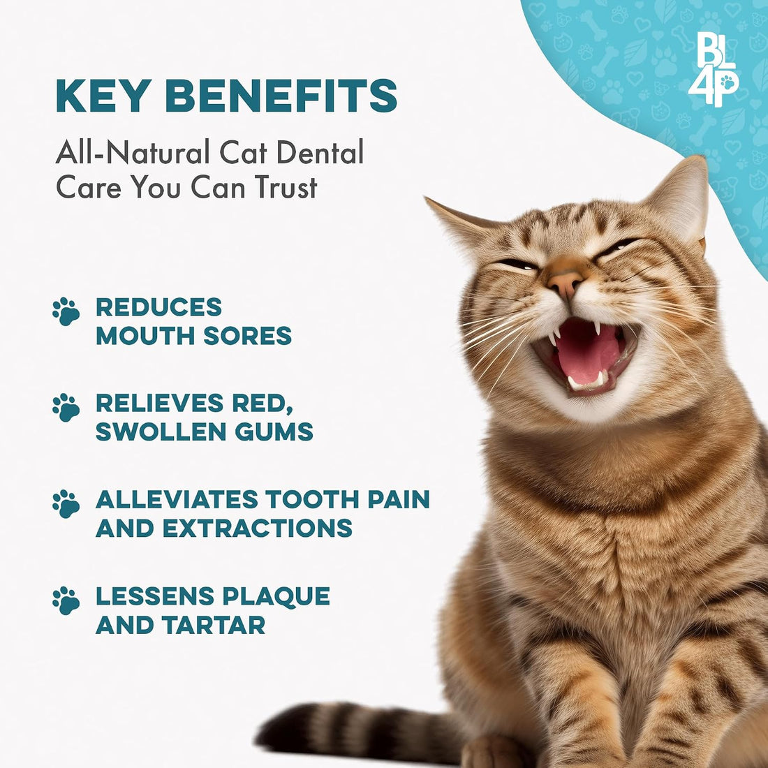 Cat Dental Care Supplement for Bad Breath, Tartar & Gum Support