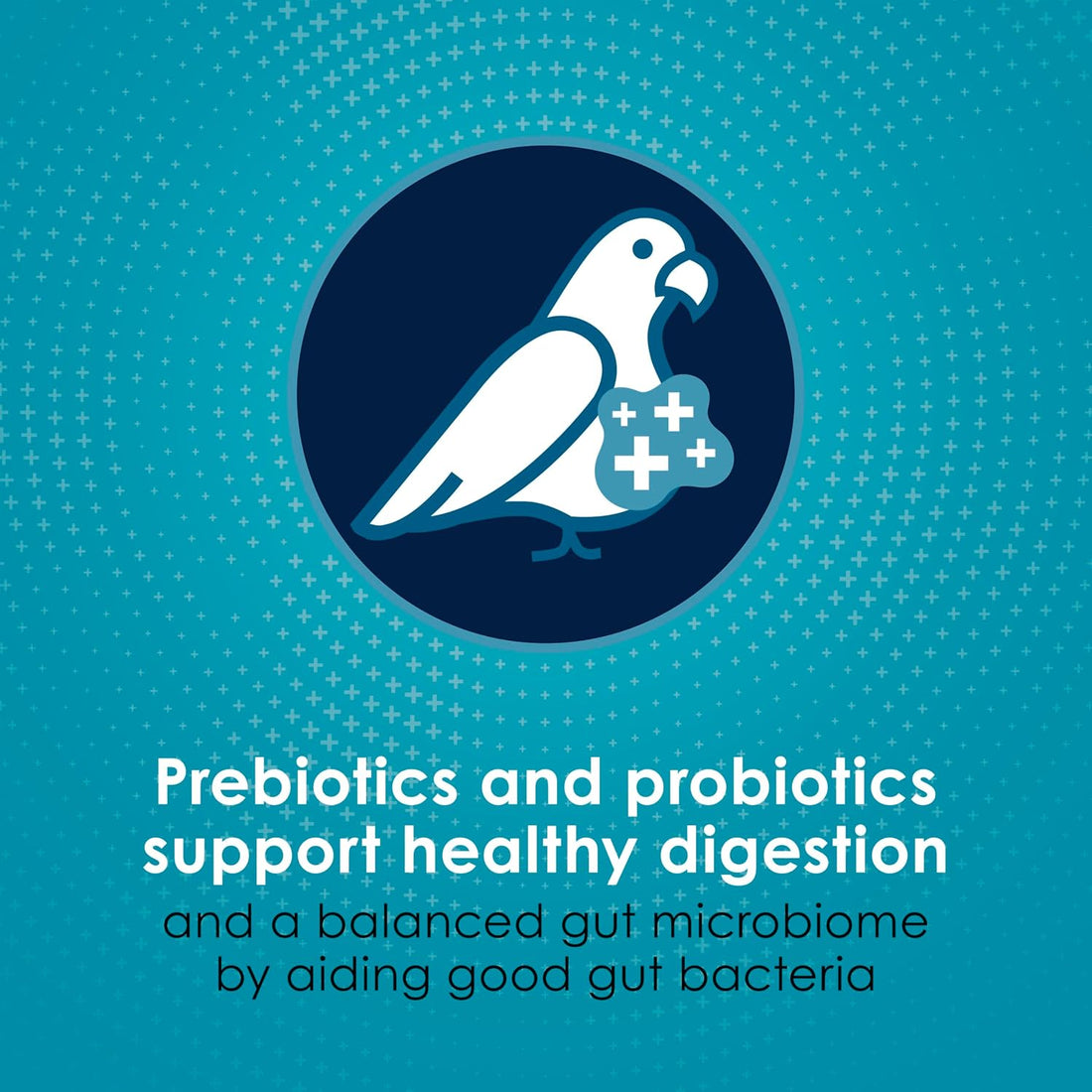 Kaytee Forti-Diet Pro Health Nourish+Protect Parrot Food