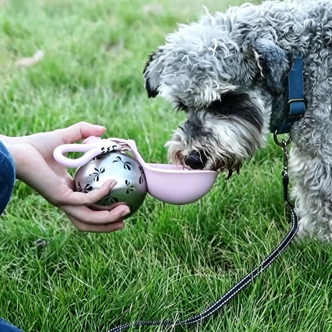 Portable Dog Water Bottle, 304 Stainless Steel Foldable Pet Water Cup