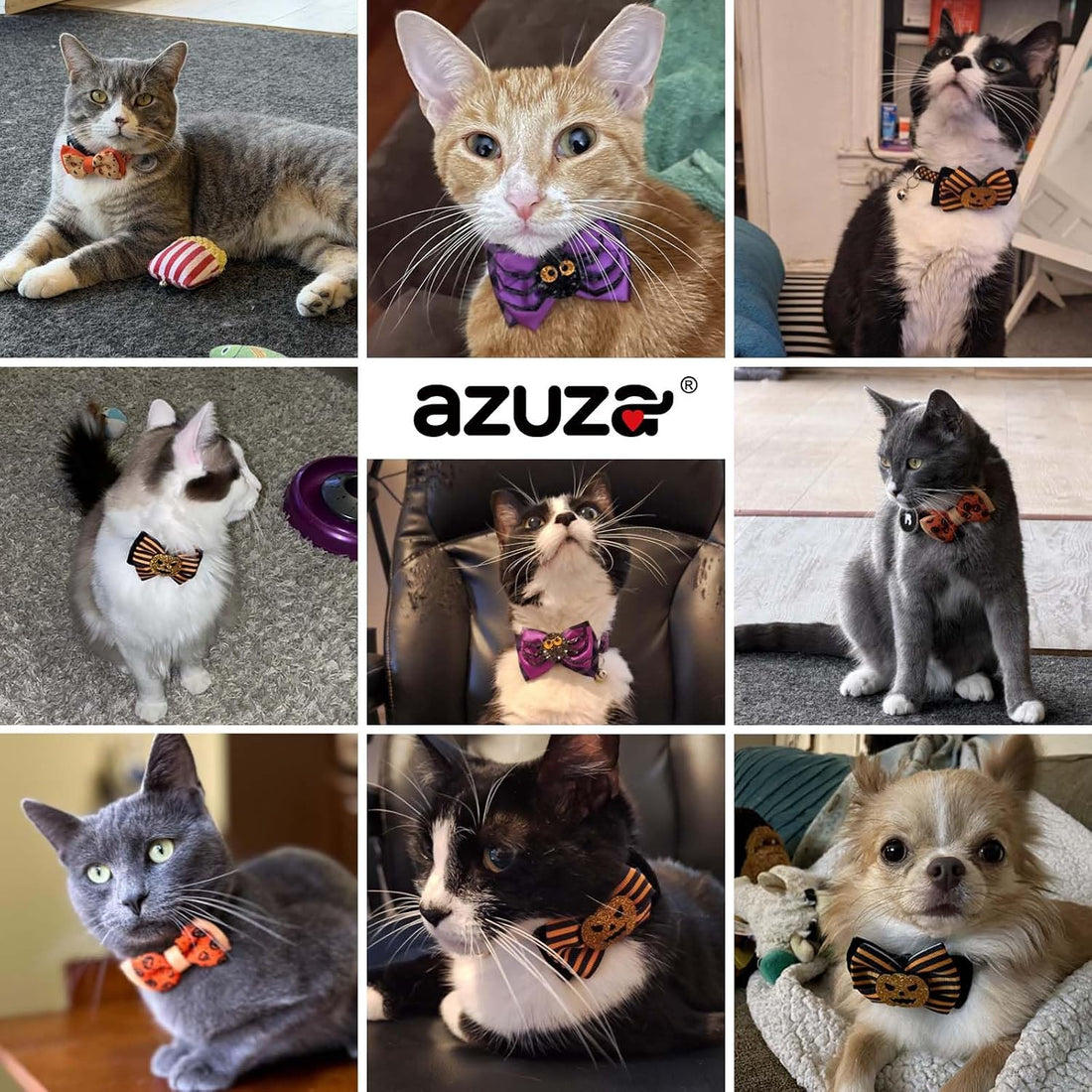 azuza 2 Pack Halloween Cat Collars with Bell