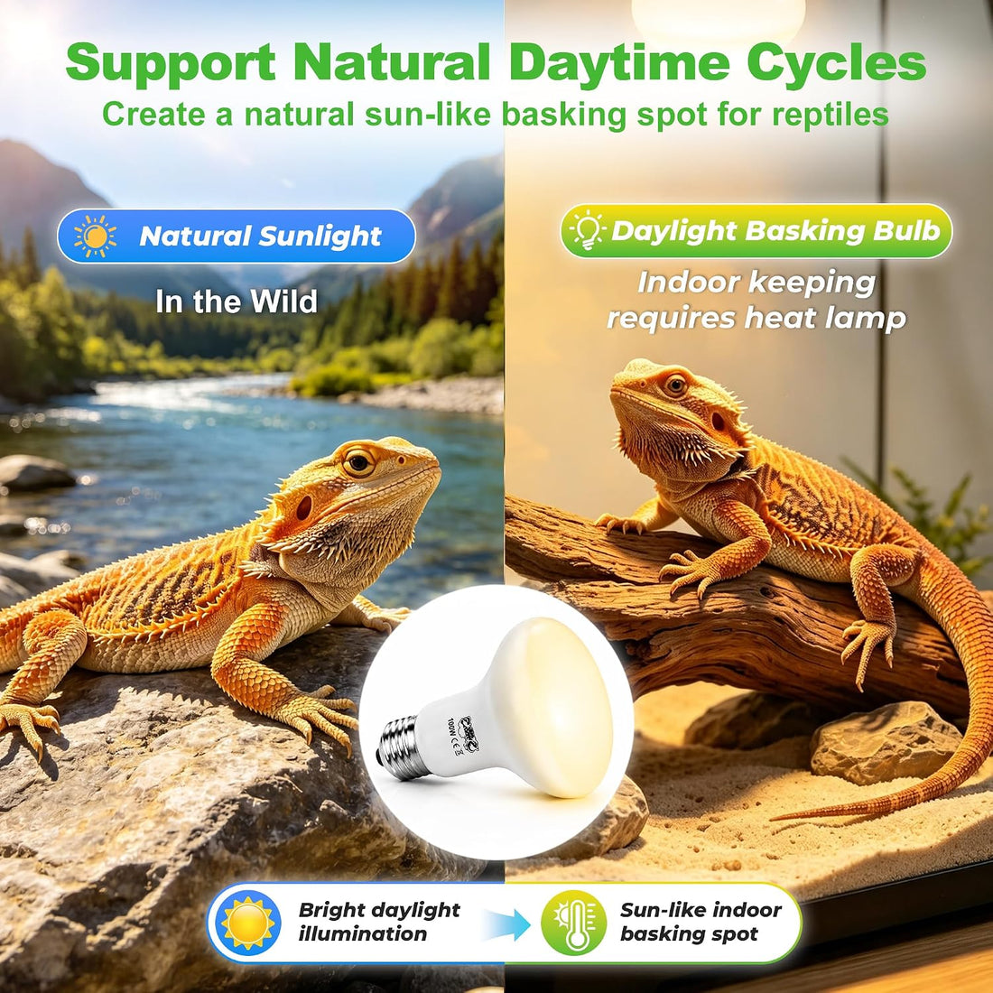 LUCKY HERP Reptile Heat Lamp Bulbs 100W
