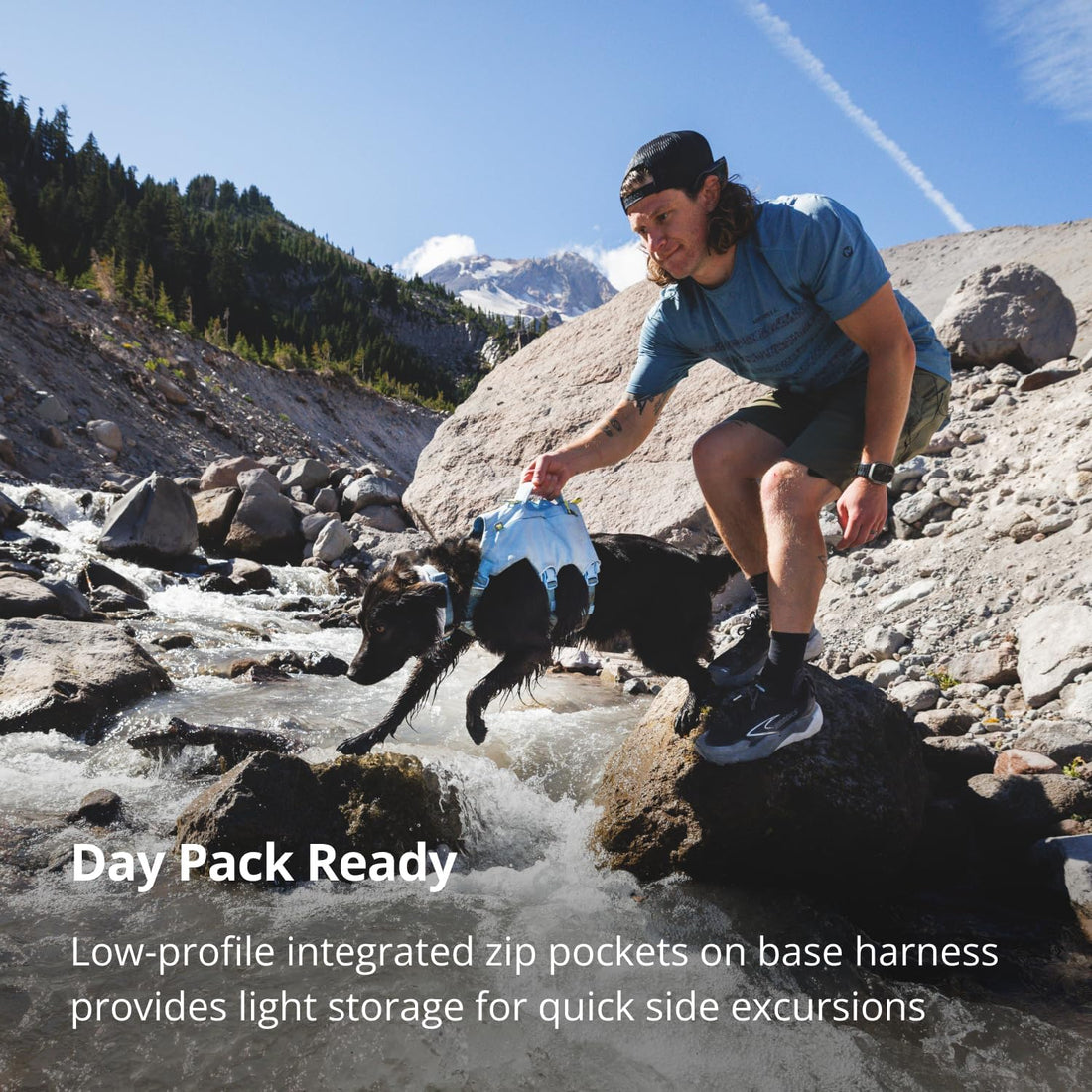 Ruffwear Palisades Dog Backpack