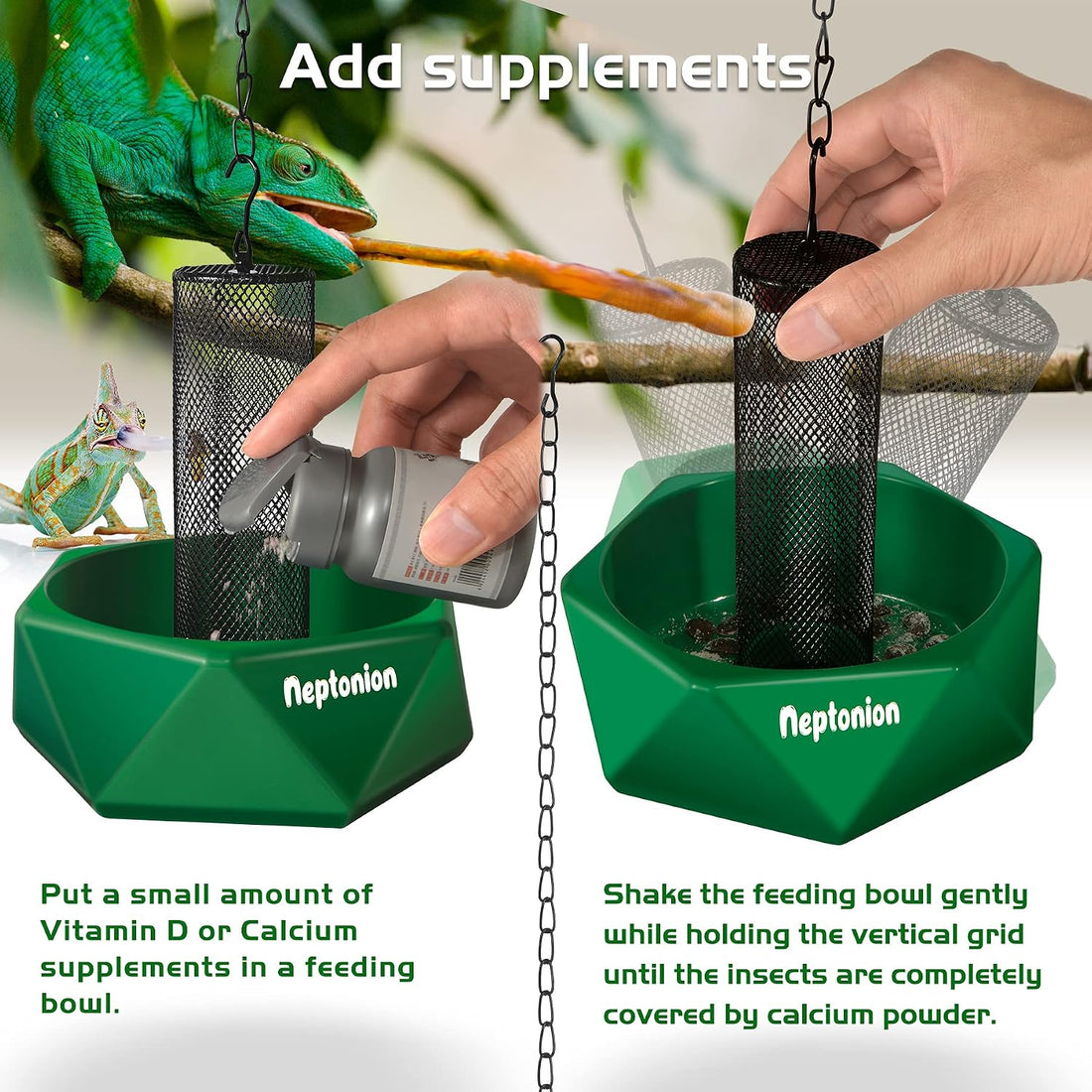 Hookable Chameleon Feeding Bowl