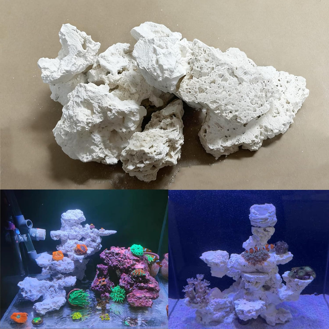 YZHZOM Dry Base Rock for Aquarium White Coral Ornament Sea Base Rocks