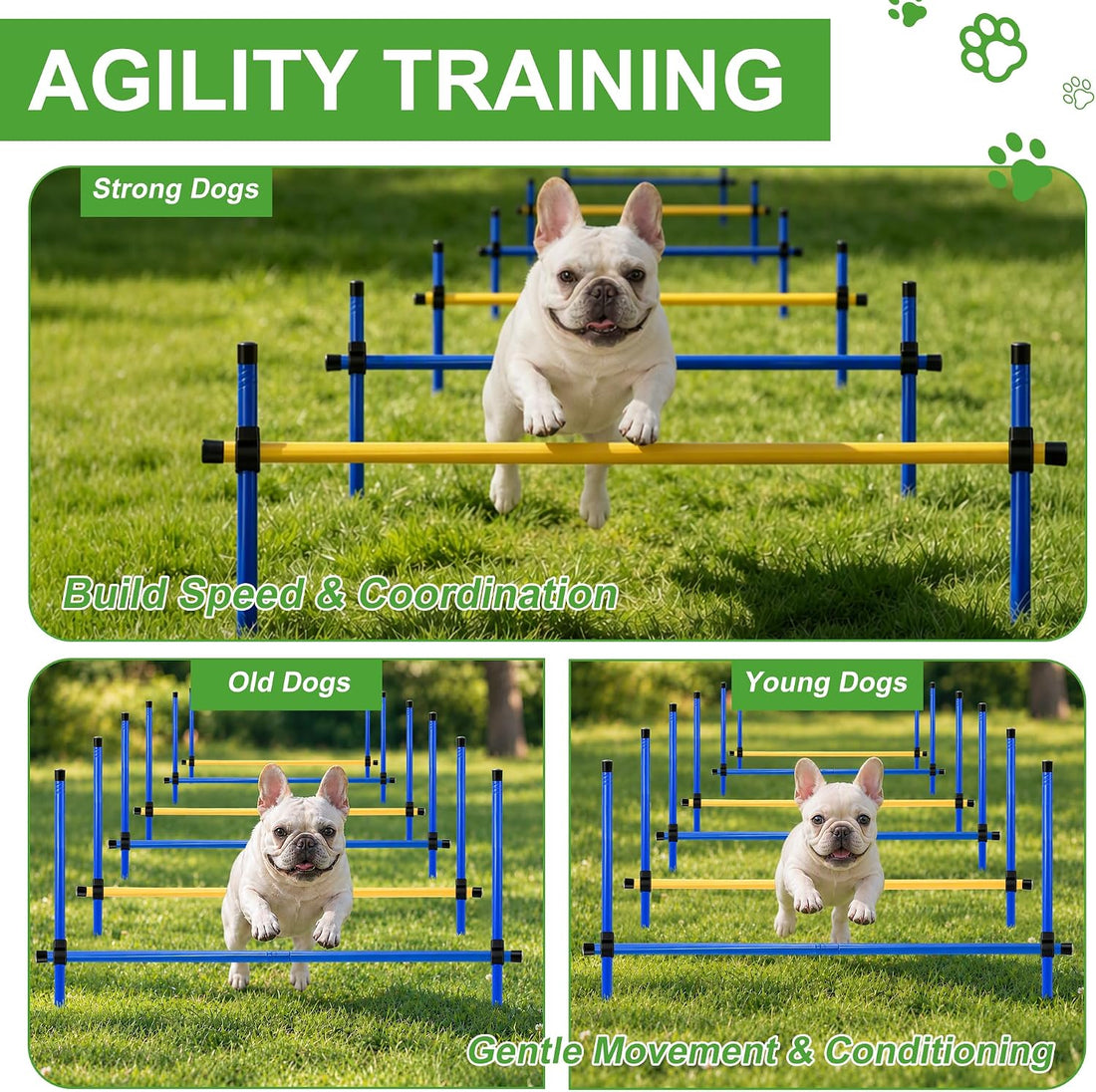 Dog Agility Equipment, Dog Agility Course Backyard Set