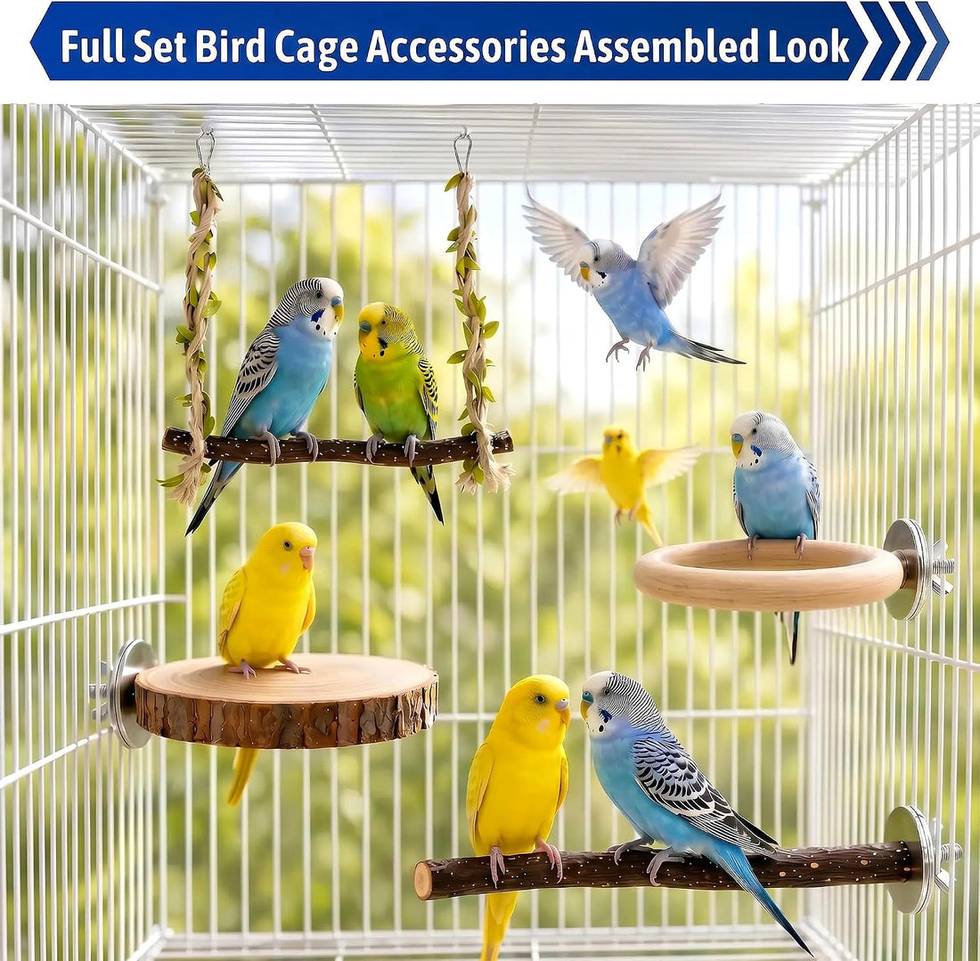 4-in-1 Bird Perches for Cage, Natural Wood Stands for Small Parrots