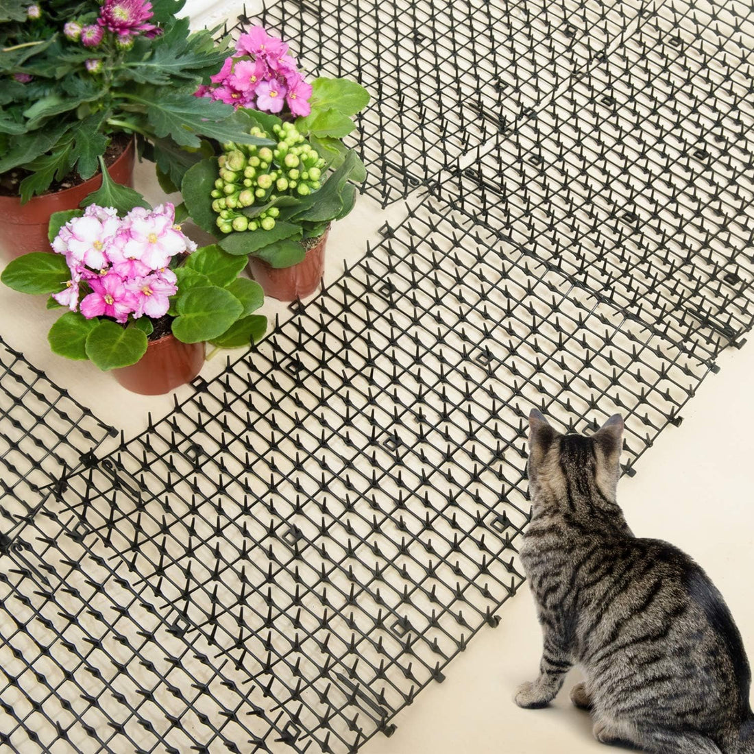 Pomeat 10 PCS Scat Mat for Cats Indoor 16" x 12" with Spikes Sprickle