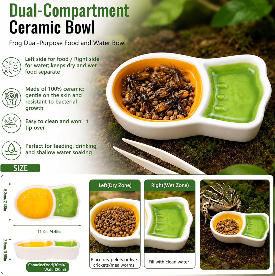 Frog Tank Accessories Set – Complete Tree Frog Habitat Kit