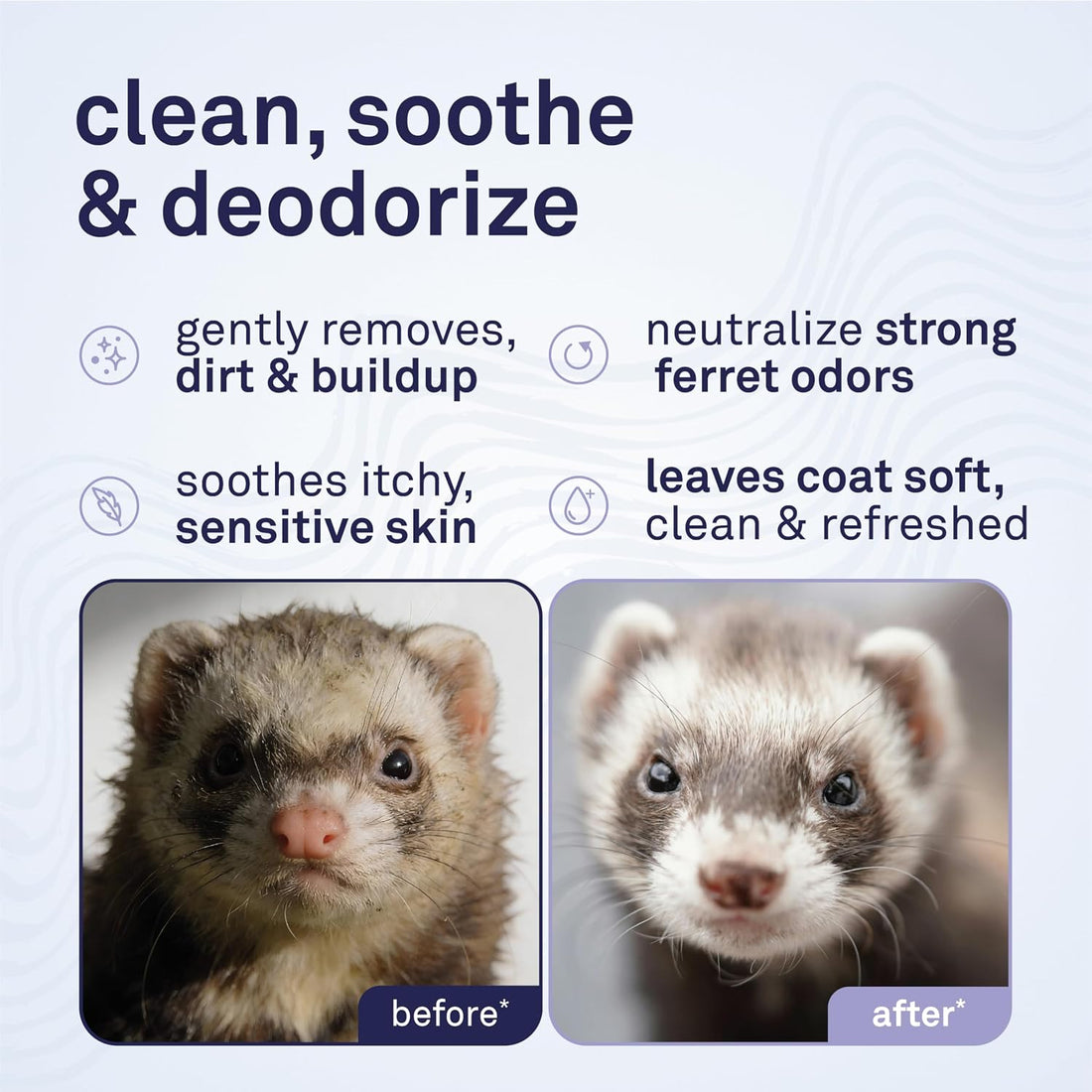 Petpost | Ferret Shampoo. Deodorizing & Moisturizing Formula