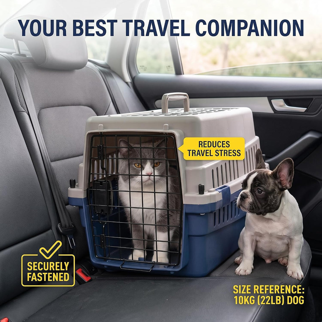 Hard-Sided Pet Carrier for Cats and Small Dogs