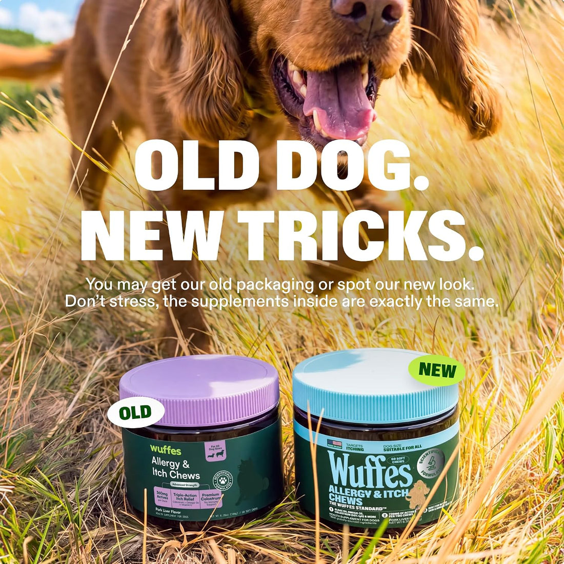 Wuffes Dog Allergy Chews, Anti-Itch Support for Itchy Skin & Paw