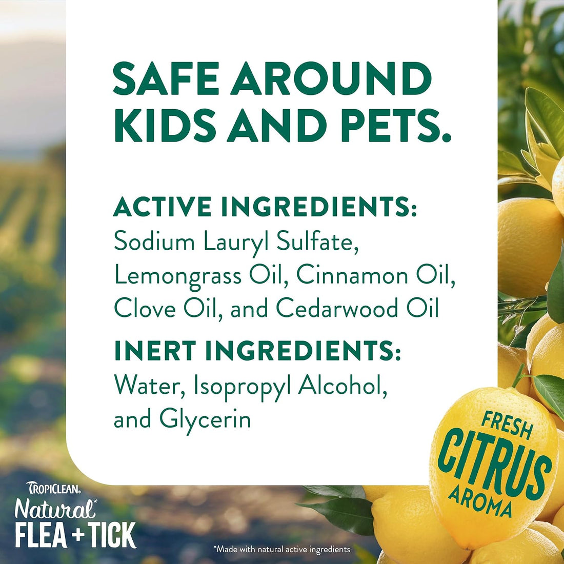 TropiClean Natural Flea Spray for Dogs & Home