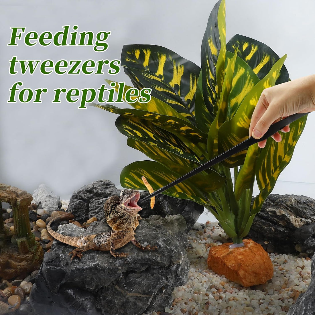 Reptile Feeding Tongs, Stainless Steel Lizard Feeding Tongs