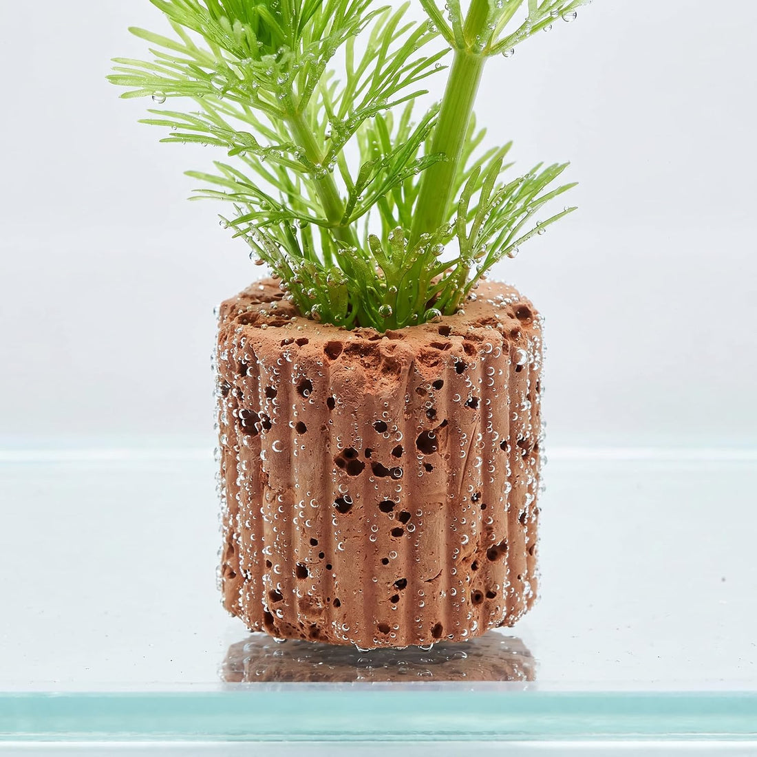 10-Pack 25mm Aquatic Plant Ring Base for Aquarium Pots