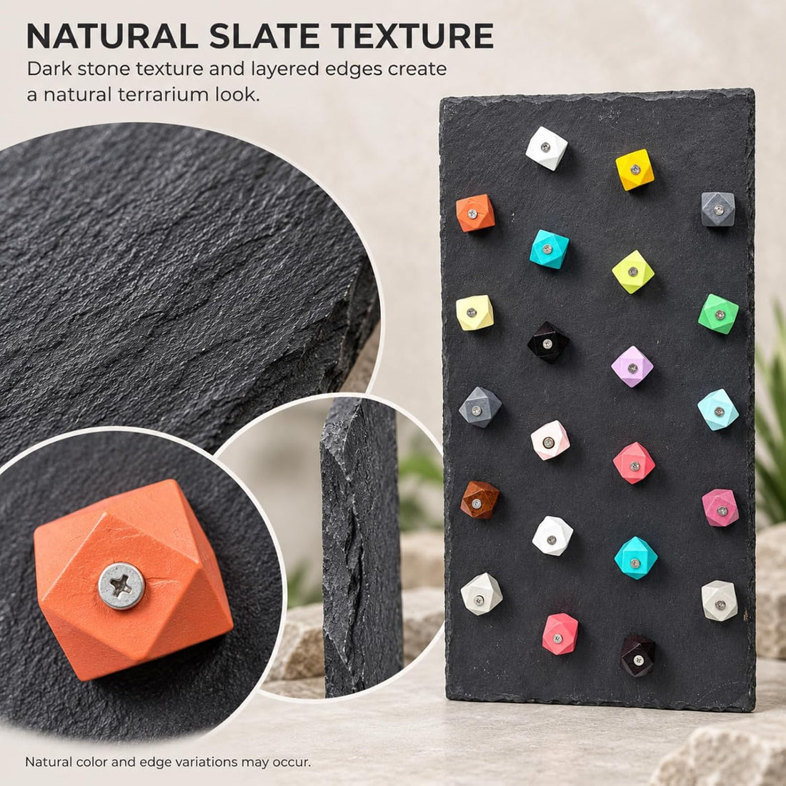 Large Bearded Dragon Climbing Wall, Natural Slate Board